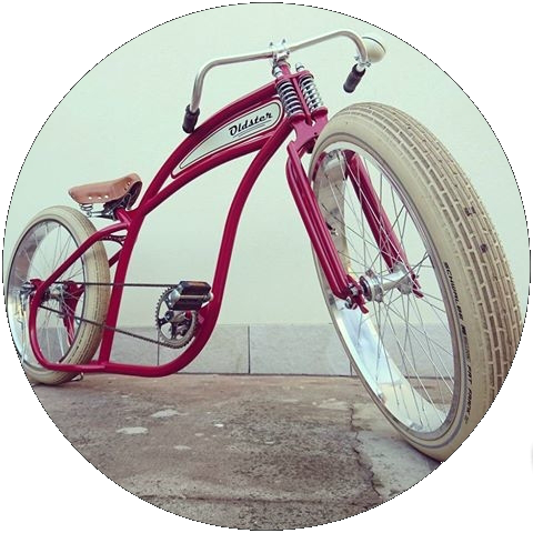 Bicis custom 2024